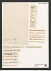 Rhaphoneis amphiceras Ehr. (de-Toni-Nr.: Genus 78, Species 2811) Zeichnungen Sammlung Grunow (NHMW-BOT-W0374163)